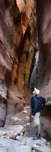 zion national park hiking