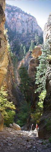 Orderville Gulch - Zion Park