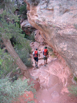 Zion Park Hiking Tours